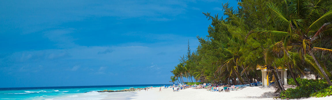 Alan Kodu: 246 (+1246) - Bridgetown, Barbados