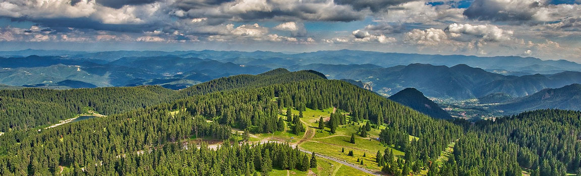 Bulgaristan