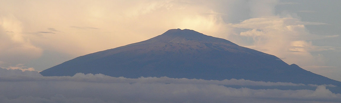 Kamerun