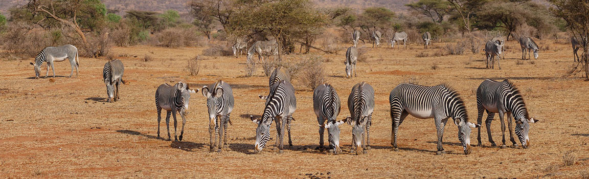 Kenya