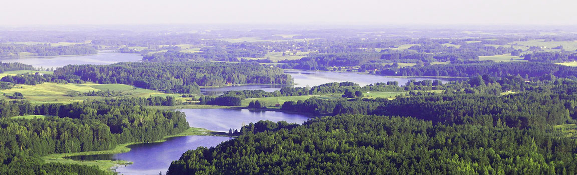 Litvanya