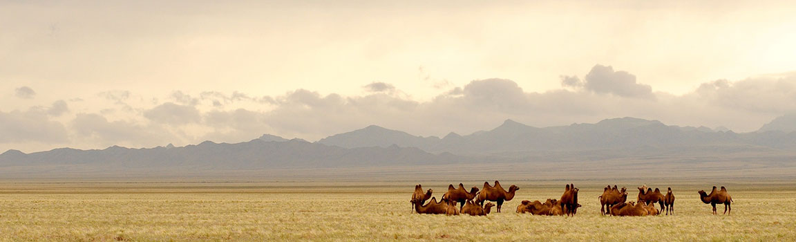Moğolistan