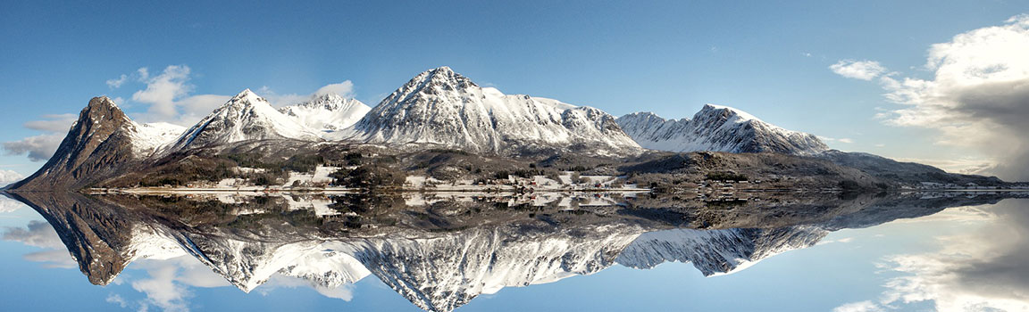 Norveç