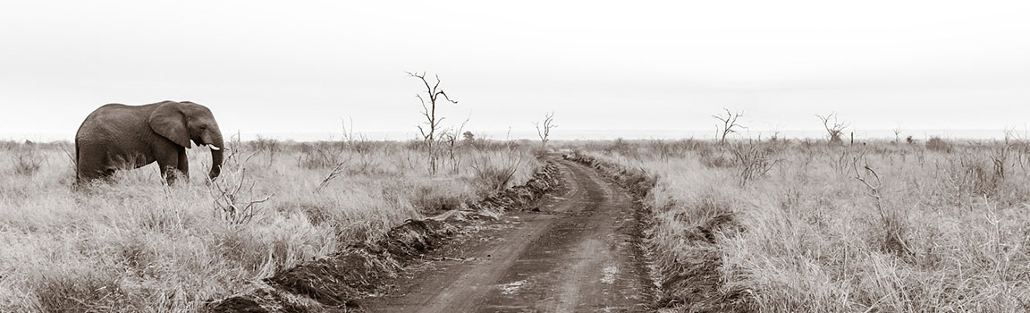 Svaziland