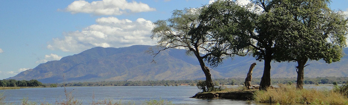 Zambiya