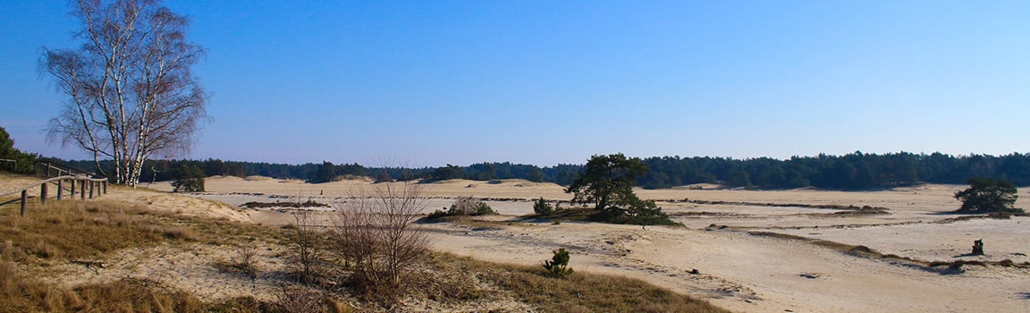 Alan Kodu: 0341 (+31341) - Harderwijk, Hollanda