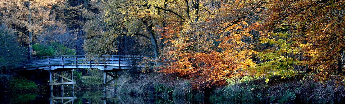 Alan Kodu: 035 (+3135) - Hilversum, Hollanda